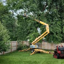 Best Lawn Irrigation Installation and Maintenance  in Lodi, CA