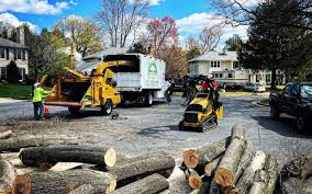 Pest Control for Lawns in Lodi, CA