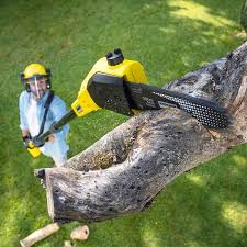 Best Lawn Watering Services  in Lodi, CA